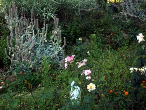 Piękny ogród ;))
tylko ta reklamówka trochu wadzi ;p;D #kwiaty #ogród #trawa #zielono