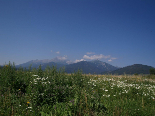 Słowacja, widok na Tatry #Pieniny #góry