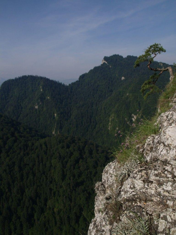 Pieniny #góry #Pieniny