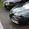 #Alfa156