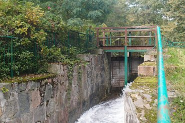 Brodnicki Park Krajobrazowy #BrodnickiParkKrajobrazowy #las #rower