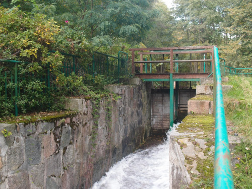 Brodnicki Park Krajobrazowy #BrodnickiParkKrajobrazowy #las #rower