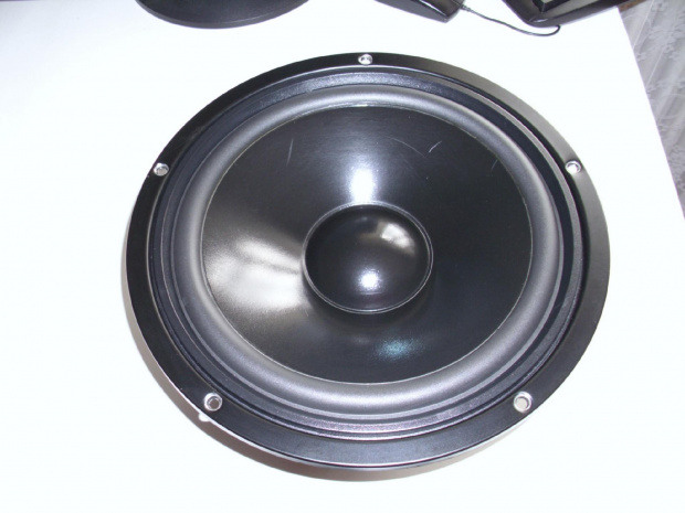 Visaton W250S