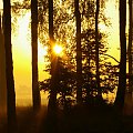 Wschód słońca #las #jesień #poranek