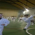 seminarium z MIstrzem Kang Cheol In 7 dan #taekwondo #tkd #walka #zawody