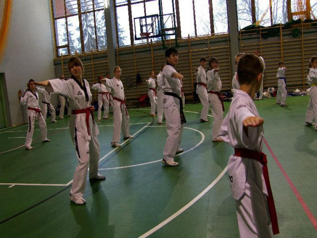 seminarium z MIstrzem Kang Cheol In 7 dan #taekwondo #tkd #walka #zawody