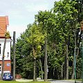 Wszechnica Mazurska w Olecku wydział ochrony środowiska