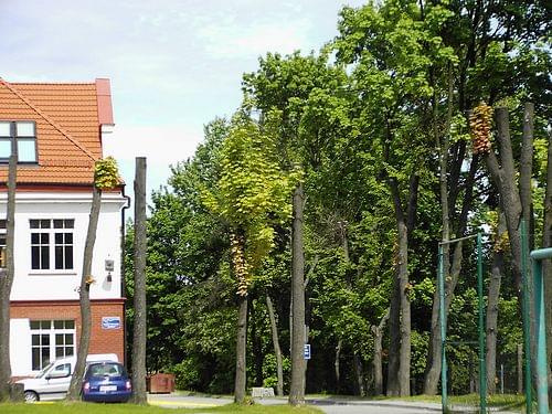 Wszechnica Mazurska w Olecku wydział ochrony środowiska