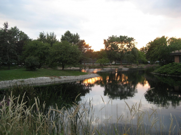 #jezioro #staw #park #las #ZachódSłońca