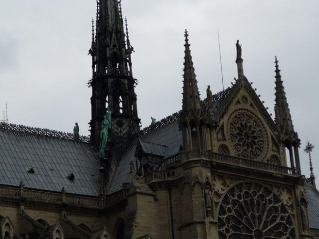 katedra Noter Dame w Paryżu