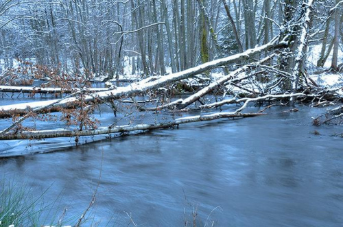 rzeka Łupawa i okolice
