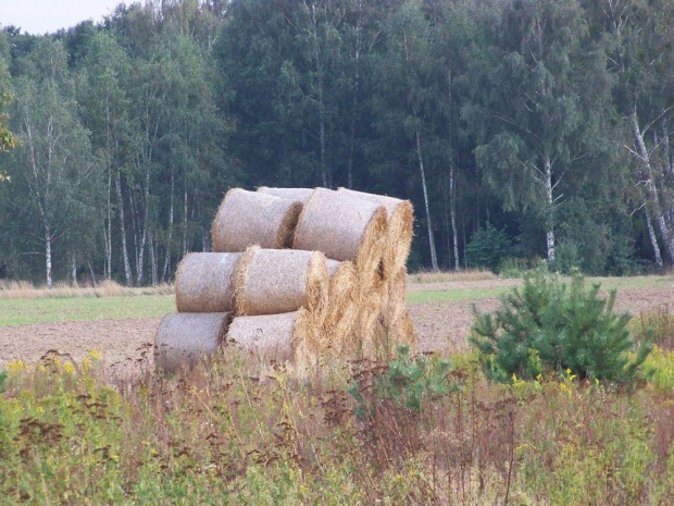 Pomiędzy Kamionem a Wilkowem,gdzie indziej zwijają asfalt,a tu...?