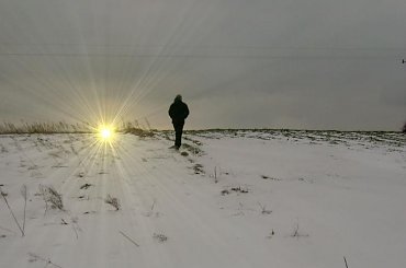 Zimowe wędrówki ku słońcu #pole #WędrówkaKuSłońcu #zima