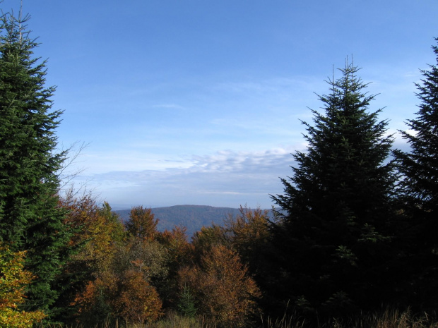 Na szlaku #Góry #Bieszczady