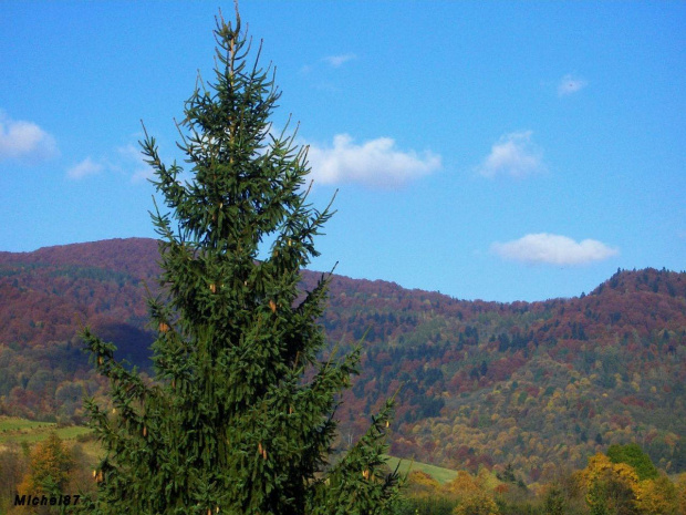 Cisna #Bieszczady #jesień