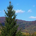 Cisna #Bieszczady #jesień