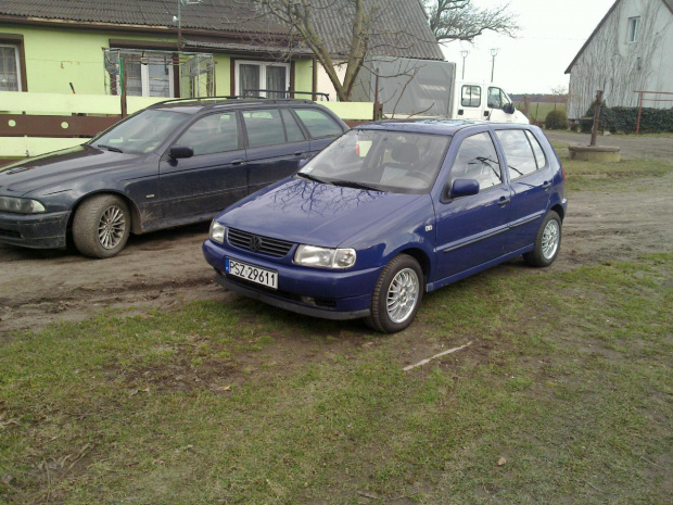 Polo