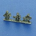 Hussars in colpack