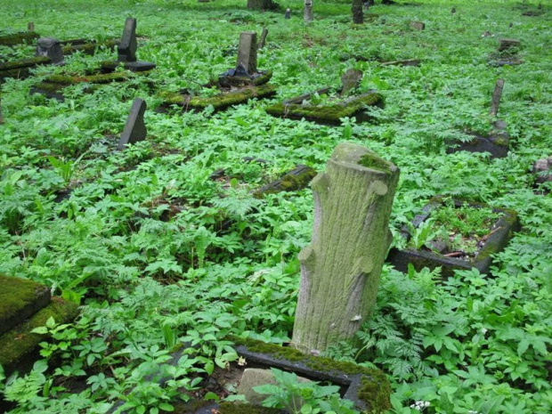 Fiszewo (warmińsko-mazurskie) - cmentarz mennonicki