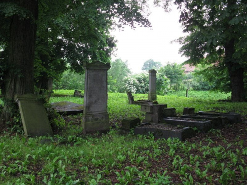 Fiszewo (warmińsko-mazurskie) - cmentarz mennonicki