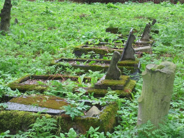 Fiszewo (warmińsko-mazurskie) - cmentarz mennonicki