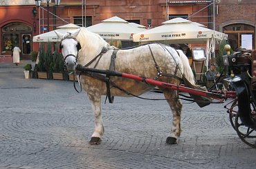 Napęd #Warszawa #StareMiasto