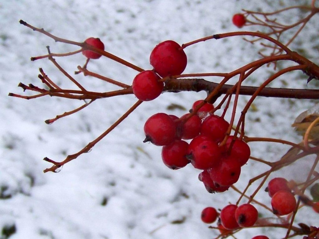 Zima w Wawie dzień 1szy #Warszawa #zima #śnieg