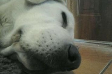 #rośliny #egzotyka #hobby #forum