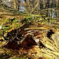 rózne foto #MAZURY