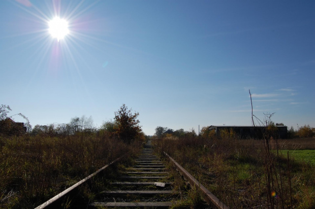 Pątnów Legnicki- 26.10.2008 #PątnówLegnicki #jesień