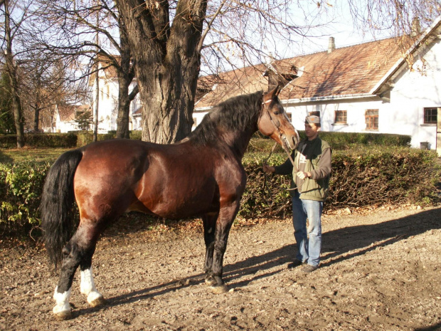 Bieszczady 2006