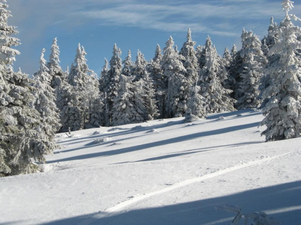 Zima na Śnieżniku