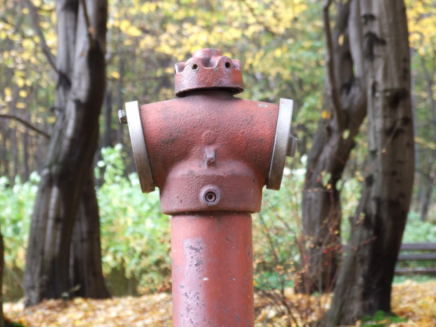 Jesiennie w Parku w Chorzowie #hydrant