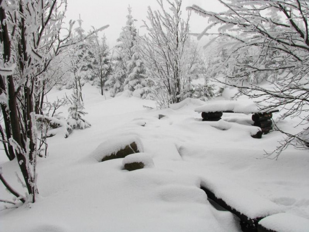 Pod Kukułczymi Skałami #Karkonosze #góry #zima #śnieg #KukułczeSkały