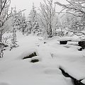 Pod Kukułczymi Skałami #Karkonosze #góry #zima #śnieg #KukułczeSkały