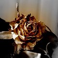 róża :D:D #róża #kwiat #kwiatek