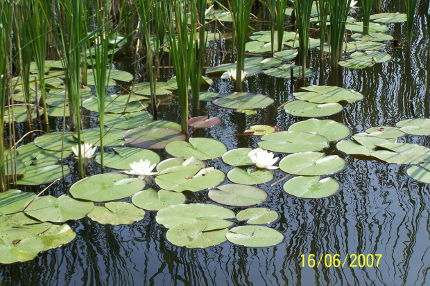 mazury