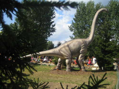 Brachiozaur - www.parkjurajski.net #ChataZPiernika #ChatkaZPiernika #DomNaKurzejNodze #Pinokio #Czarownica #BabaJaga #Rzepka #Dinozaury #Dinozaur #Bajka #Bajki #BajkowaKraina #PodŻaglami #Rybnik #ParkJurajski #DinoPark
