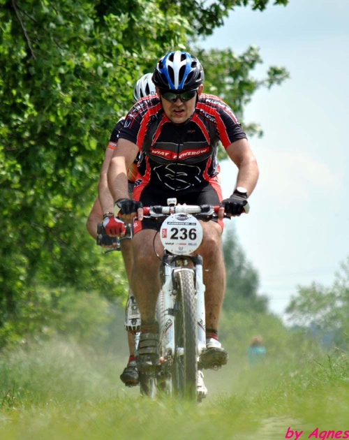 Poland Bike Maraton, Poland Bikejoring, Łuków #PolandBikeMaraton #PolandBikejoring #Łuków