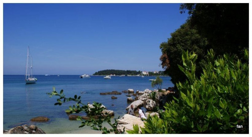Chorwacja -Rovinj czerwiec 2010.Jedna z zatoczek w tym cudownym miasteczku.Przepiękny kolor wody,cisza, śpiew ptaków,delikatny powiew wiatru muskajacy skórę-czy to już raj?