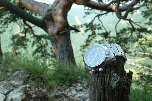 Seiko SARB015 Alpinist