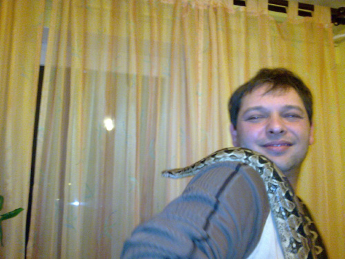 waz boa boas constrictor