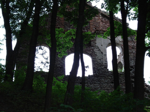 Bobrza (świętokrzyskie), ruiny dawnej huty żelaza