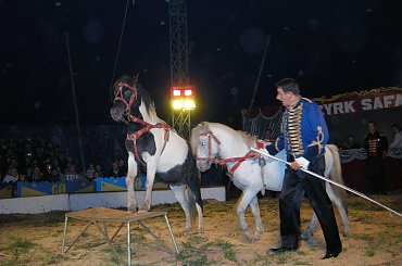 Cyrk Safari-2010. Zapraszamy na www.portalcyrkowy.ubf.pl #cyrk #safari #sezon #clown #rzeszów #występycyrkowe #kmc #portal #cyrkowy #portalcyrkowy #cyrksafari #arena