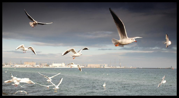 Gdynia #Gdynia #morze #trójmiasto