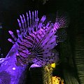 06.08.2008