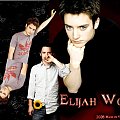 Elijah Wood