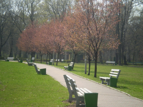 #drzewa #ławki #park #droga #chodnik #wiosna #słońce