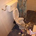#kibel #toaleta #sranie #kupa #odrzut