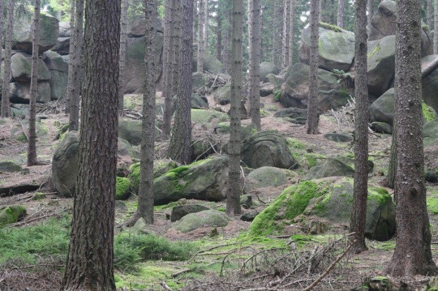 Wycieczka na Sokoliki z Tomkiem , Danielą i Marcinem